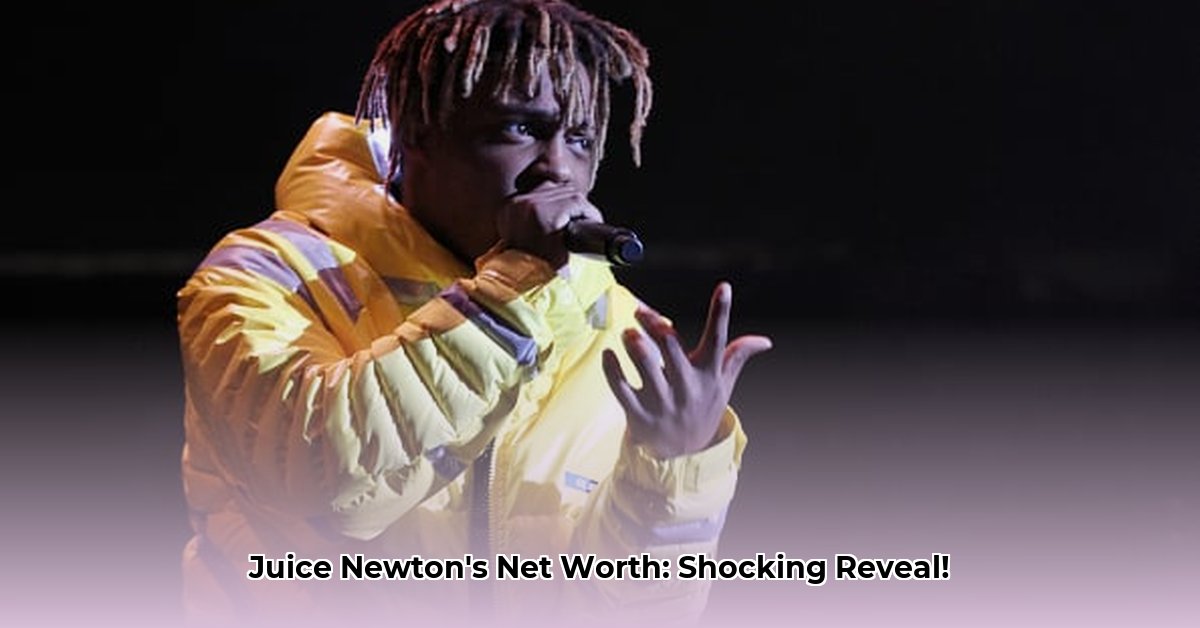 juice-newton-net-worth